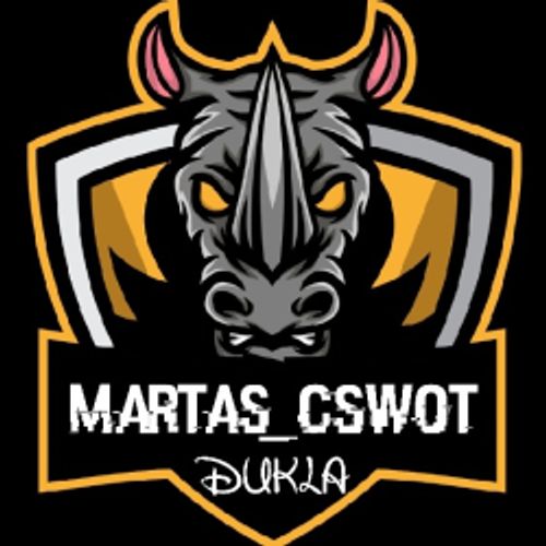 Martas-CSWOT