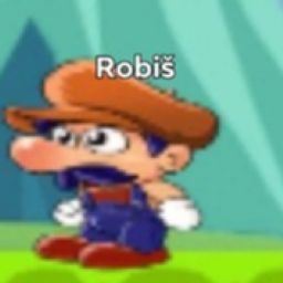 robajzs