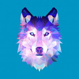 adam-volf04
