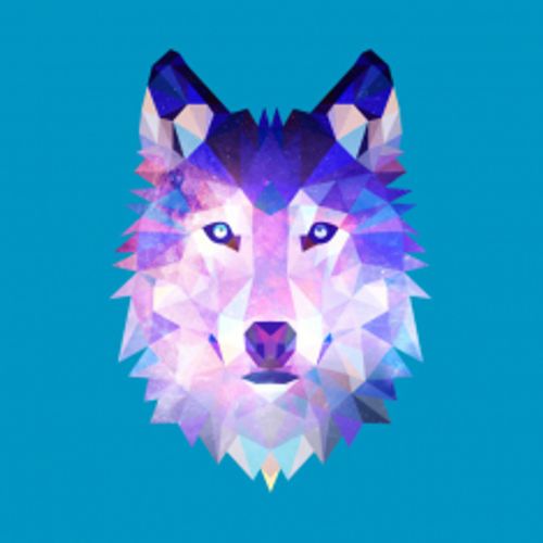 adam-volf04
