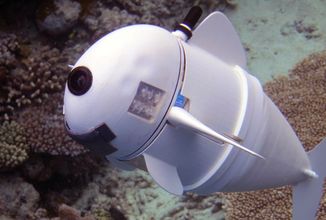 Vědci vyvinuli robota na šmírování ryb