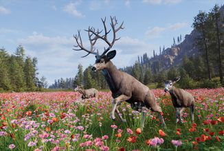 ss-2b2bdf1fb6851972c4a5801c1a6e8092befe035a-1920x1080-jpg (6)