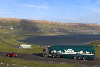 Island - fjordy (0)