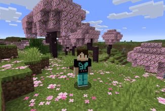 mc-withoutshader-png (0)