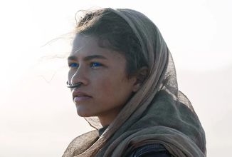 Zendaya-Dune-everett-H-2024.webp