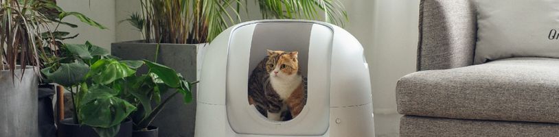 Kočičí záchod Footloose zvládne úklid i zdravotní prohlídku