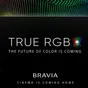 True RGB podsvícení vstupuje do Bravia řady, Sony staví na nezávisle řízených LED