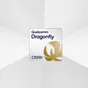 Qualcomm útočí na NVIDII, představil Dragonfly
