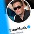 Elon Musk chce koupit Twitter? - Jak to vlastně je