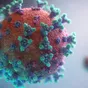 Umělá inteligence navrhla viry od začátku do konce, šestnáct jich v laboratoři ožilo