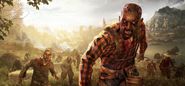 Dying Light 2 - 2